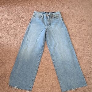 Banana Republic Size 26s Women's Light Blue High Rise Wide-Leg Jeans